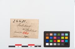 Etikett zu Bronzemehrkopfnadel (NHMW-PRAE-024481)